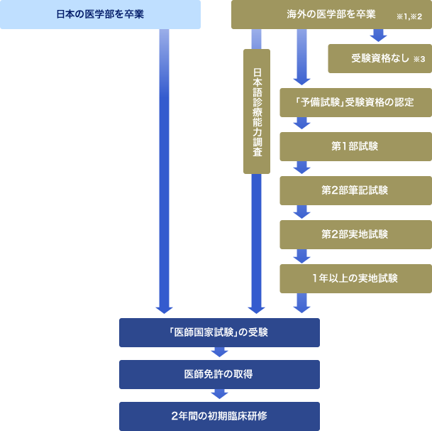 図：日本の医師免許までの概要